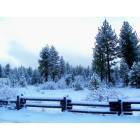 Truckee: Truckee