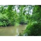 Murphy: Valley river Murphy, NC