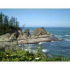 Coos Bay: Picture of coast, on the way to shore acres