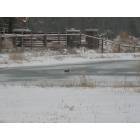 Show Low: : I found an opening on the iced pond