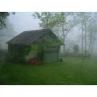 Greeneville: My Shed in the Smokey Mountains , Greeneville , Tn