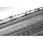 Roseville: Train Tracks