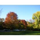Morton Grove: autumn beauty in Morton Grove