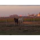 Riverdale: Pasture behind my house-