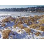 Kirkland: : Juanita Beach Park in winter