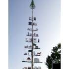 New Braunfels: Maypole