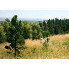 Fort Collins: : Trail above Ft. Collins