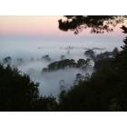 Oakland: : Fog from the Oakland Hills