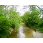Gratis: Twin Creek