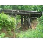 Old railroad bridge in mid-robbins