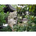 Portland: Portland's Chinese Garden