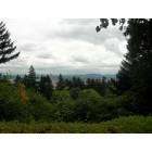 Portland: Downtown view from Rose Garden