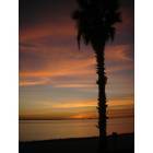 Dunedin: Sunset at Dunedin Causeway