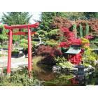 Tacoma: : Autumn Splendor at Tacoma's Japanese Garden in Point Defiance Park