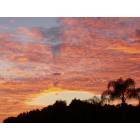 Harbour Heights: Harbour Sunset