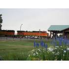 East Glacier Park Village: BNSF Train at Amtrak Station, East Glacier Park, MT
