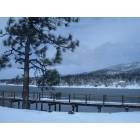 Big Bear Lake: Baker's Pond in Winter