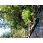 Eagle Nest: Stream in Cimmaron Canyon
