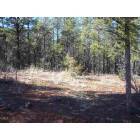 Show Low: : Sierra Pines Subdivision