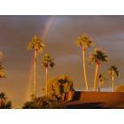 Phoenix: : Phoenix rainbow in the afternoon