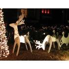 Clarksville: : Christmas Decorations