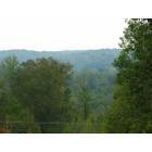 Holladay: View from the Bluff on our property in Holladay, Tn