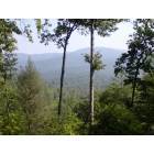 Murphy: View from back porch of a friends' cabin in Murphy