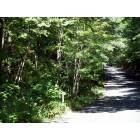 Naugatuck: Street in Naugatuck