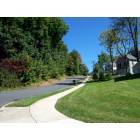 Naugatuck: Street in Naugatuck
