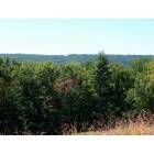 Naugatuck: View of Naugatuck