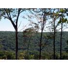 Naugatuck: View of Naugatuck