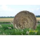 Marquette: Hay Bail-East Of Marquette, Ks. Photo-Dick Linder