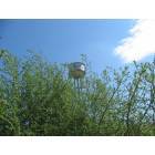 Wellington: wellington water tank and tumbelweed