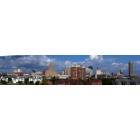 Buffalo: Sunny Buffalo