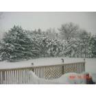 Fruitland: A Snowy Winter Day in Fruitland