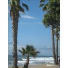 Ventura: Surfer's Point