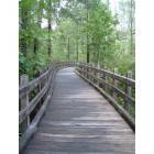 Beaufort: Sun City walkway in Bluffton