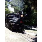 Felton: Roaring Camp Railroad... the steam train takes you through the BIG TREES