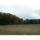 Naugatuck: Naugatuck Open Space