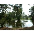 Holiday: Cypress Lake Park Pond