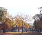 Cedar Rapids: : Ellis Park in Fall