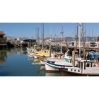 San Francisco: : Fishing Boats