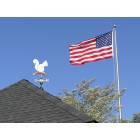Brevard: : Courthouse Gazebo with White Squirrel Weathervane, Dove, and American Flag