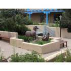 Taos: Horse's on Taos Plaza
