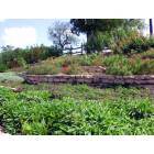 San Angelo: San Angelo's gardens