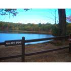 Concord: Waldon Pond