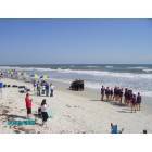 Daytona Beach: : National Cheer Competition 2007 Behind Bandshell