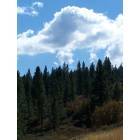 Truckee: Glenshire Drive