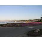 Garden Grove: Views of Pacific Grove_1