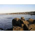 Pacific Grove: Coast views of Pacific Grove_4